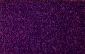 Purple Church Carpet